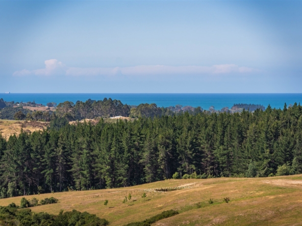 duCHATEAU | Real Estate | Surry Hills - 45 Mahana Ridge - Mahana