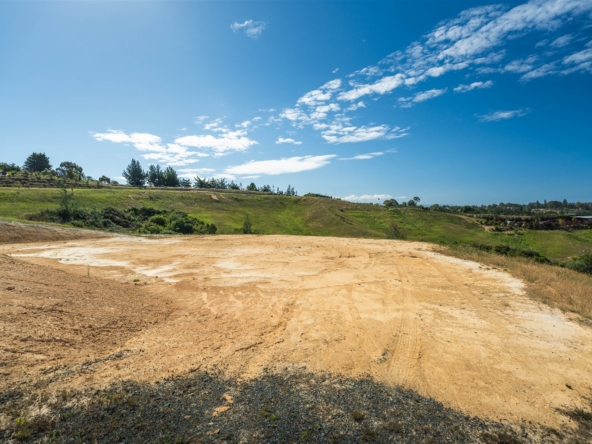 duCHATEAU | Real Estate | Surry Hills - 45 Mahana Ridge - Mahana