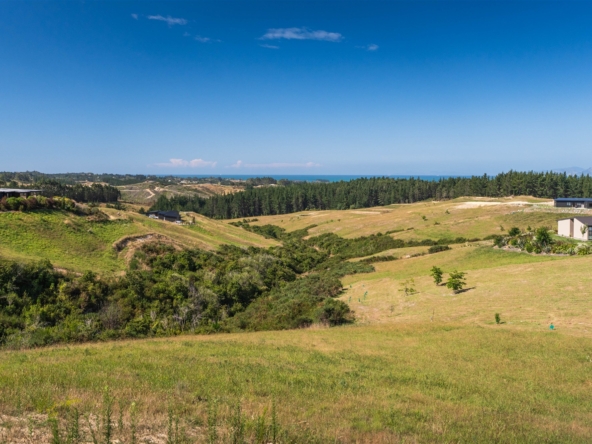 duCHATEAU | Real Estate | Surry Hills - 45 Mahana Ridge - Mahana